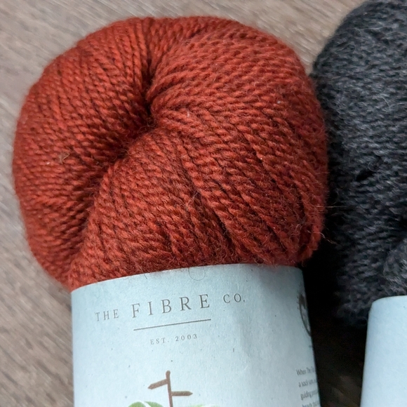The Fiber Co Amble Wandering Souls Fingering Weight Yarn Colorway Nutkin - Picture 4 of 4